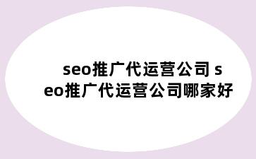 seo推广代运营公司 seo推广代运营公司哪家好